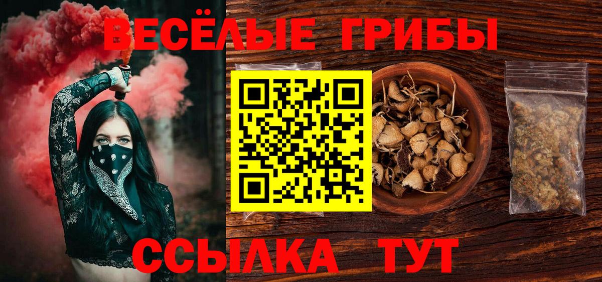 Семёнов  Галлюциногенные грибы мухоморы  где продают наркотики  Вход с VPN 