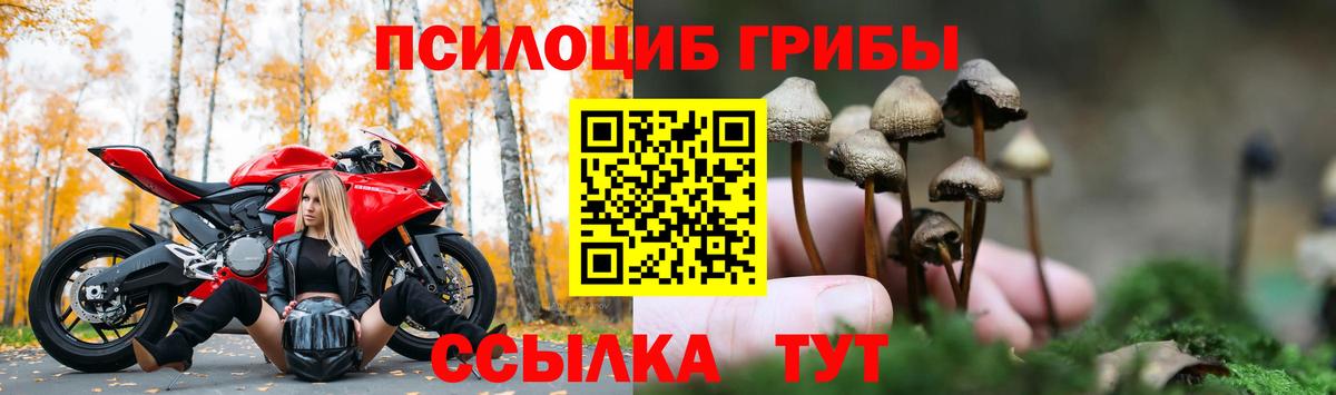 Псилоцибиновые грибы MAGIC MUSHROOMS Семёнов