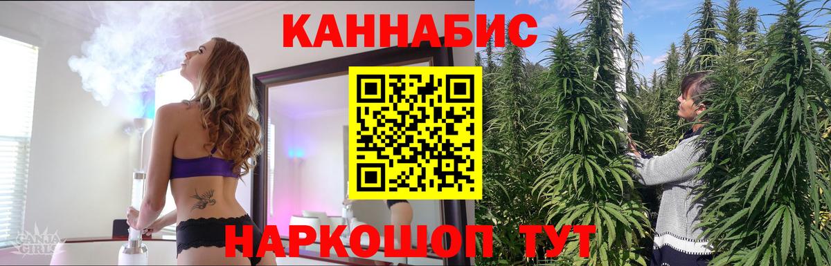 Конопля гибрид Семёнов